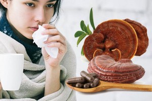 養生「芝」選-靈芝孢子粉7大功效